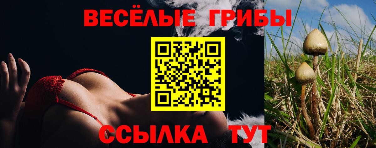 Галлюциногенные грибы MAGIC MUSHROOMS  Вход с VPN  Ивантеевка 